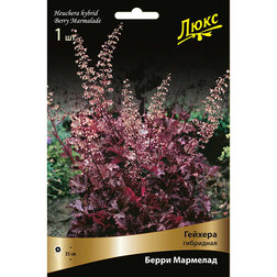 ����  ������� ��������� ����� ��������, ������ �� 848 ���