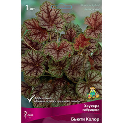 ����  ������� ��������� ����� �����, ������ �� 671 ���