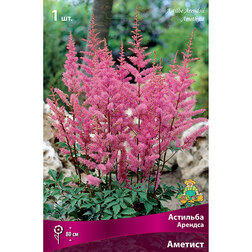 ����  �������� ������� (�������), ������ �� 263 ���