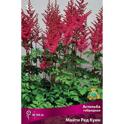 ����  �������� ��������� ����� ��� ����, ������ �� 396 ���