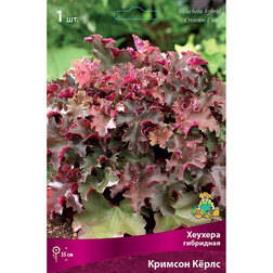 ����  ������� ��������� ������� ʸ���, ������ �� 657 ���