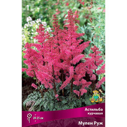 ����  �������� �������� ����� ���, ������ �� 411 ���