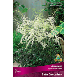 ����  �������� ������������� ���� ��������, ������ �� 360 ���