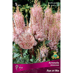 ����  �������� �������� ��� �� ��, ������ �� 319 ���