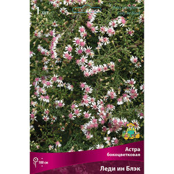 ����  ����� ����������� ���� �� ����, ������ �� 445 ���