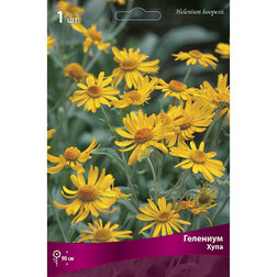 ����  �������� ������� ����, ������ �� 368 ���