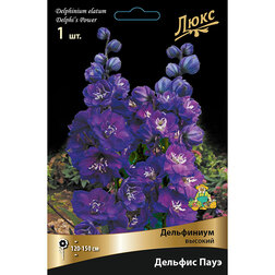 ����  ���������� ������� ������� ���� *, ������ �� 623 ���