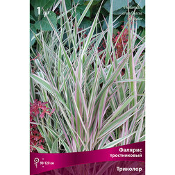 ����  ������� ������������ ��������, ������ �� 309 ���