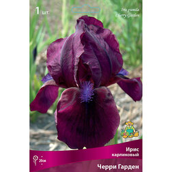 ����  ���� ���������� ����� ������, ������ �� 372 ���