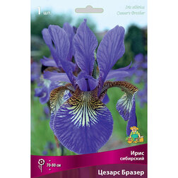 ����  ���� ��������� ������ ������, ������ �� 292 ���