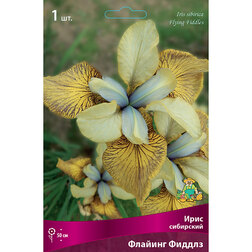 ����  ���� ��������� ������� ������, ������ �� 357 ���