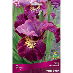 ����  ���� ��������� ���� ����, ������ �� 292 ���