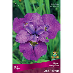 ����  ���� ��������� �� � ������, ������ �� 292 ���