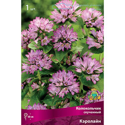 ����  ����������� ��������� ��������, ������ �� 433 ���