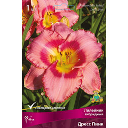 ����  �������� ��������� ����� ����, ������ �� 459 ���