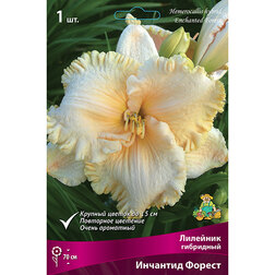 ����  �������� ��������� �������� ������, ������ �� 501 ���