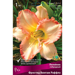 ����  �������� ��������� ������� ������ ������, ������ �� 501 ���