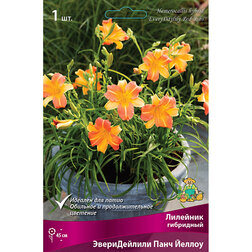 ����  �������� ��������� ������������ ���� ������, ������ �� 411 ���