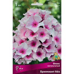 ����  ����� ����������� ��������� ���, ������ �� 246 ���