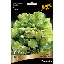 ����  ����� ����������� ������� *, ������ �� 459 ���