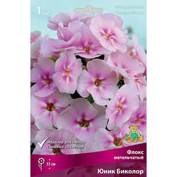 ����  ����� ����������� ���� �������, ������ �� 328 ���