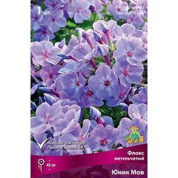 ����  ����������� ����� ����������� ���� ���, ������ �� 328 ���