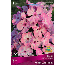 ����  ����� ����������� ���� ��� ����, ������ �� 328 ���