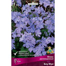 ����  ����� ������������� ��� ���, ������ �� 391 ���