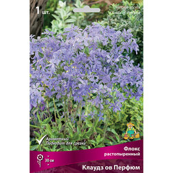 ����  ����� ������������� ������ �� ������, ������ �� 391 ���