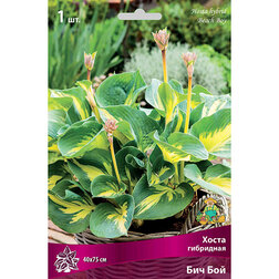 ����  ����� ��������� ��� ���, ������ �� 402 ���