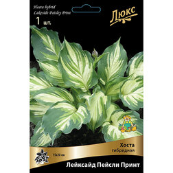 ����  ����� ��������� �������� ������ ����� *, ������ �� 634 ���