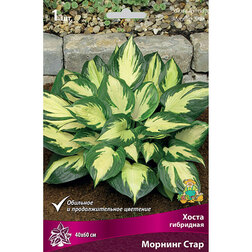 ����  ����� ��������� ������� ����, ������ �� 402 ���