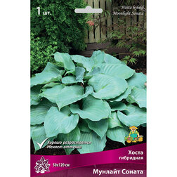 ����  ����� ��������� ������� ������, ������ �� 292 ���