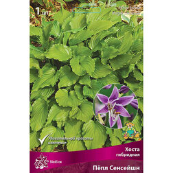 ����  ����� ��������� ϸ�� ��������, ������ �� 501 ���