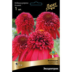 ����  �������� ��������� ���������� *, ������ �� 1016 ���