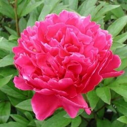 ����  ���� ����������� �������� �'��, ������ �� 659 ���