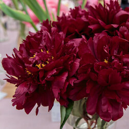 ����  ���� ����������� �������, ������ �� 714 ���