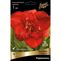 ����  �������� ��������� ��������� *, ������ �� 625 ���