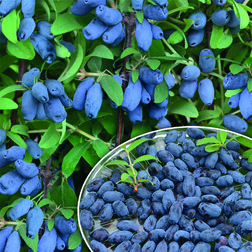 ����  ������� ��������� ���������� (���������), ������ �� 349 ���