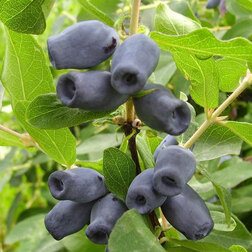 ����  ��������� ��������� �������������, ������ �� 349 ���