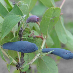 ����  ������� ��������� ��������� (���������), ������ �� 349 ���