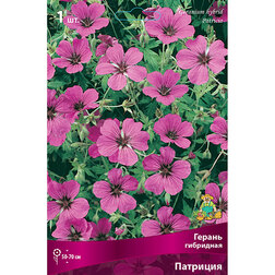 ����  ������ ��������� ��������, ������ �� 518 ���