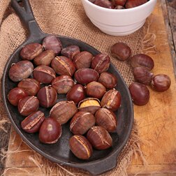 ����  ������ �������� (���������), ������ �� 499 ���