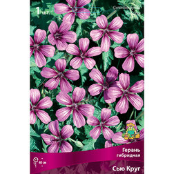 ����  ������ ��������� ��� ����, ������ �� 447 ���