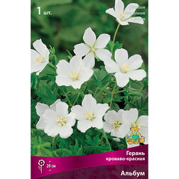 ����  ������ �������-������� ������, ������ �� 382 ���