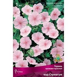 ����  ������ �������-������� ���.��������, ������ �� 357 ���