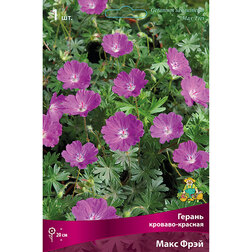 ����  ������ �������-������� ���� ����, ������ �� 357 ���