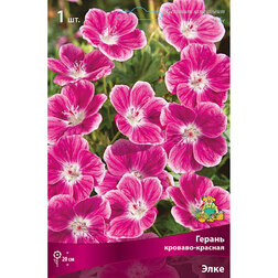 ����  ������ �������-������� ����, ������ �� 476 ���