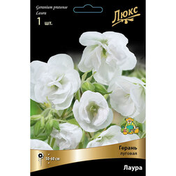 ����  ������ ������� �����, ������ �� 836 ���