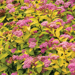 ����  ������� ������ ��������� (��������), ������ �� 399 ���